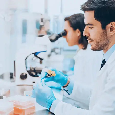 Researchers working with materials science instruments in laboratory