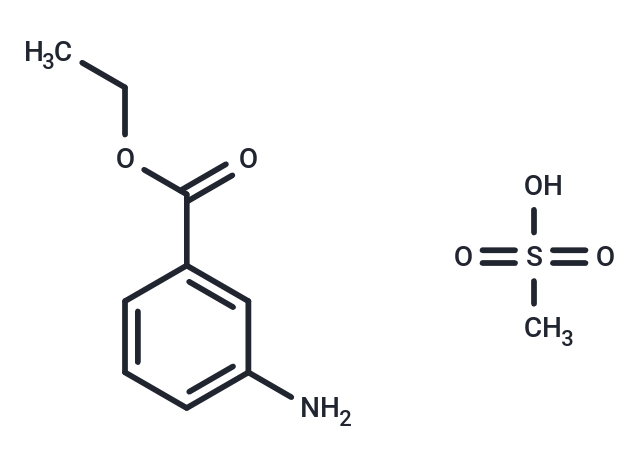NB-64-11026-5g | Tricaine methanesulfonate [886-86-2] Clinisciences