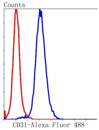 Anti-CD31 Antibody (6F18)