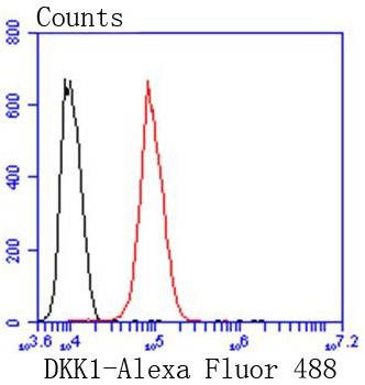 Anti-DKK1 Antibody (8S801)