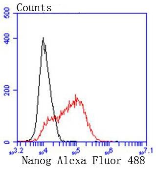 Anti-NANOG Antibody (5J818)