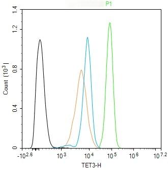 Anti-TET3 Polyclonal Antibody