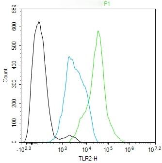 Anti-TLR2 Antibody (7Y355)