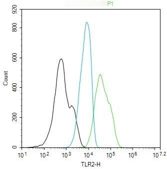 Anti-TLR2 Antibody (7Y355)