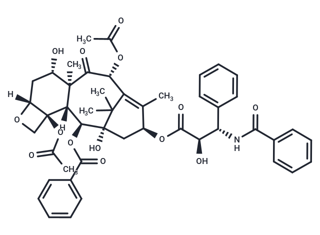 Paclitaxel
