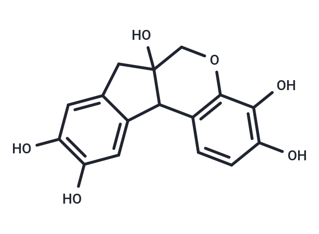 Hematoxylin
