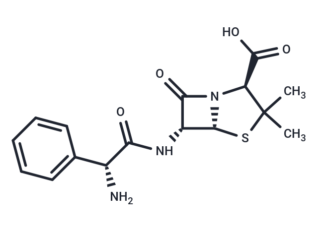 Ampicillin