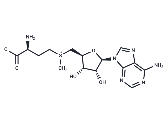 S-Adenosyl-L-methionine