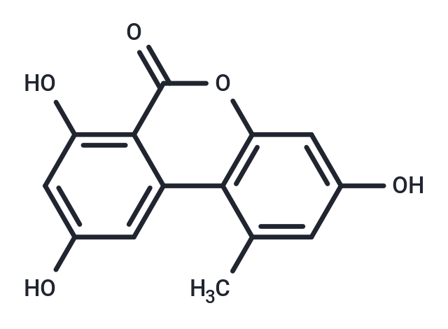 Alternariol