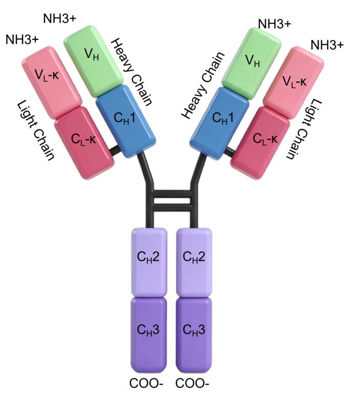 Mirvetuximab