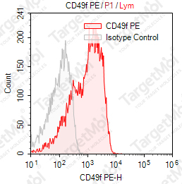 Anti-CD49f Antibody-PE (4F10)