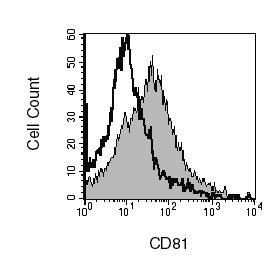 CD81