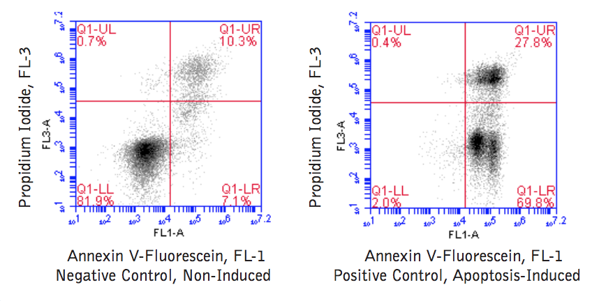 Annexin V-Fluorescein Apoptosis BioAssay™ Kit