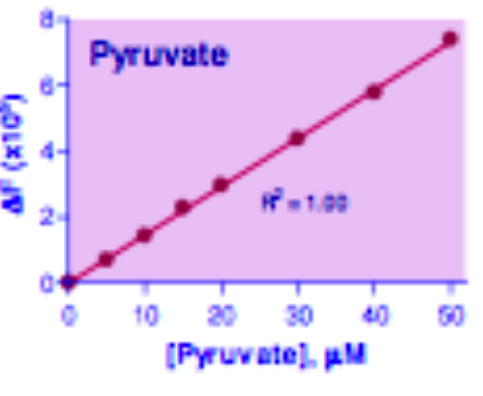 Pyruvate Assay Kit, BioAssay™