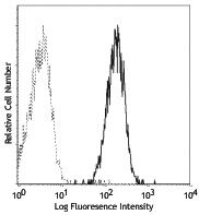 CD80