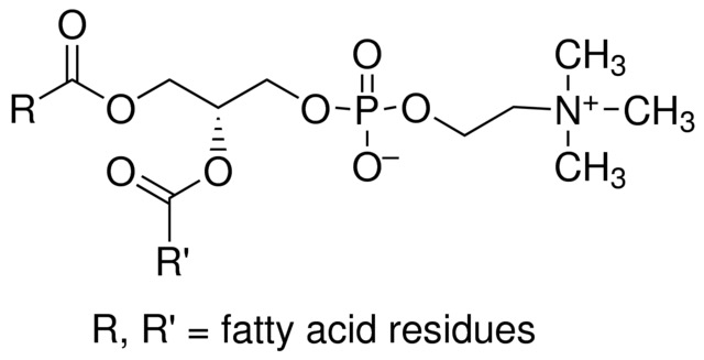 Lecithin