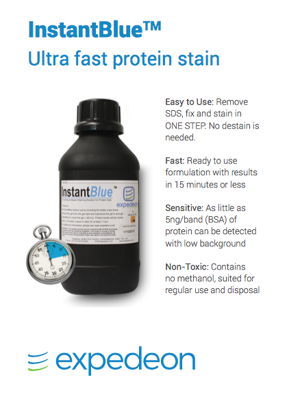InstantBlue Protein Stain