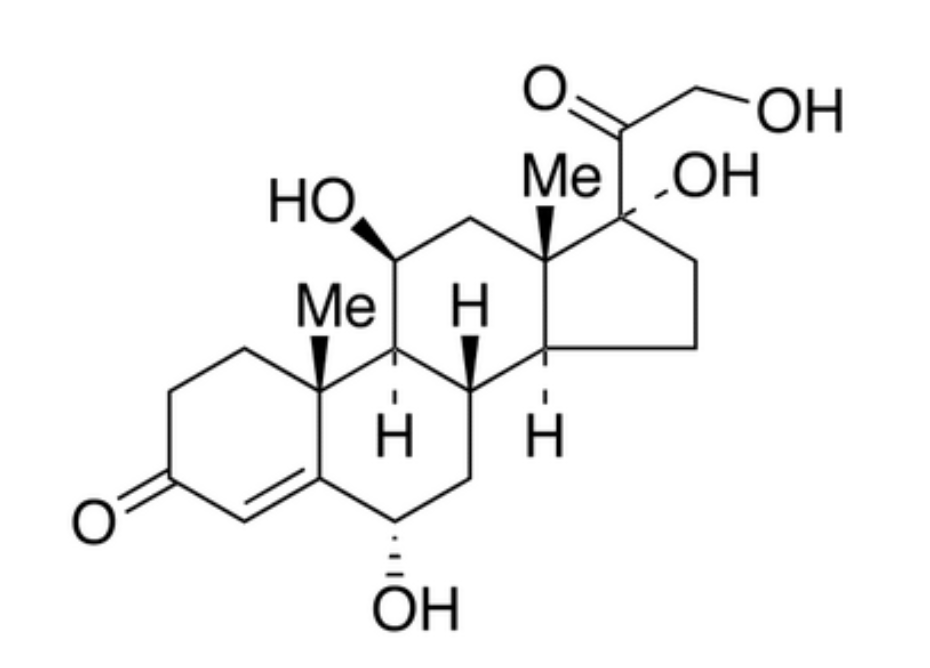 6α-Hydroxy Cortisol