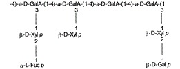 Tragacanth Gum