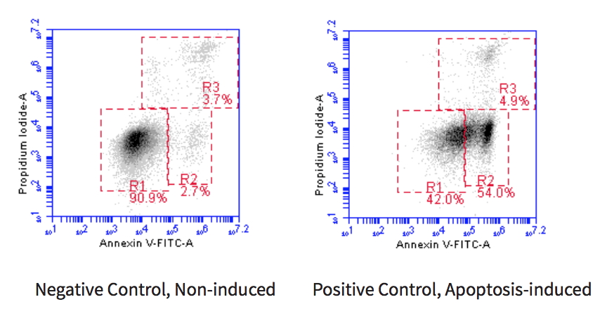 Annexin V-FITC Apoptosis Detection BioAssay&trade; Kit
