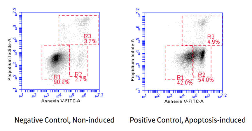 Annexin V-FITC Apoptosis Detection BioAssay&trade; Kit