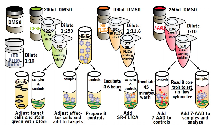 Total Cytotoxicity Test BioAssay&trade; Kit