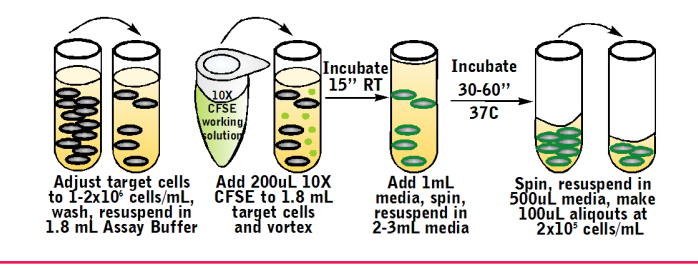 Total Cytotoxicity Test BioAssay&trade; Kit