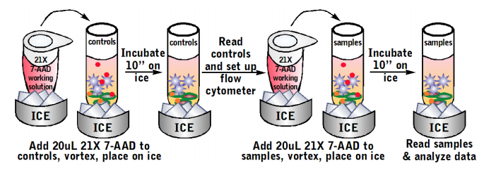 Total Cytotoxicity Test BioAssay&trade; Kit