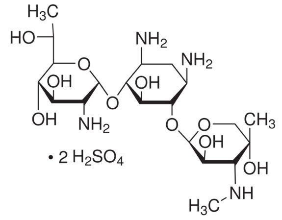 G418 Sulfate