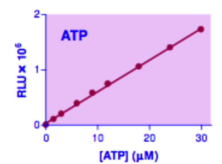 ATP Assay Kit, BioAssay&trade;