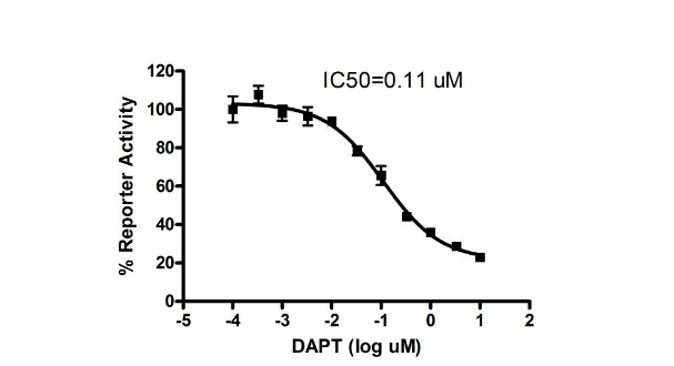 Notch Reporter BioAssay&trade; Kit