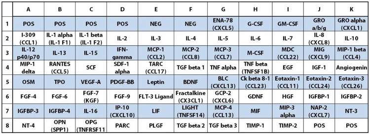Cytokine Array C5 Target Map