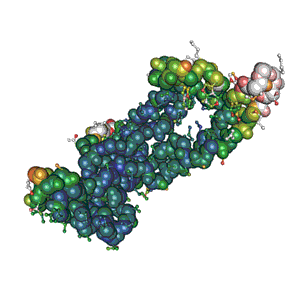 Recombinant Human MMP-2