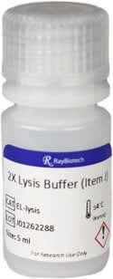 Lysis Buffer (2X)