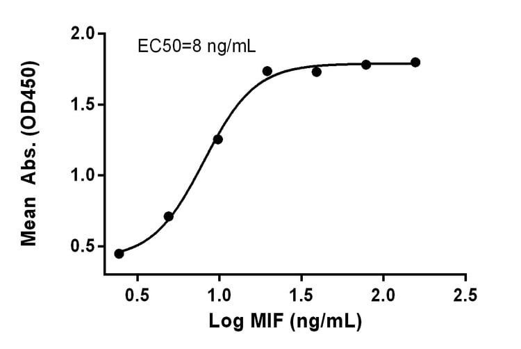 Measured by its binding ability in a functional ELISA. Immobilized recombinant human MIF (Code: 230-00007) can bind rabbit anti-human MIF antibody with EC50 at 8 ng/mL.