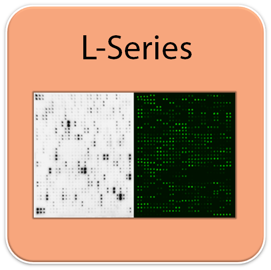 L-Series Glass Slide Array Blocking Buffer