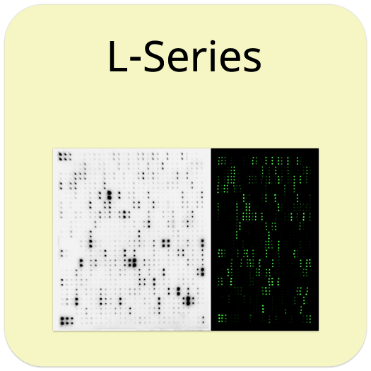 L-Series Glass Slide Array Blocking Buffer