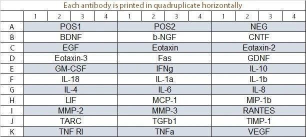 Human Neuro Discovery Array Q1