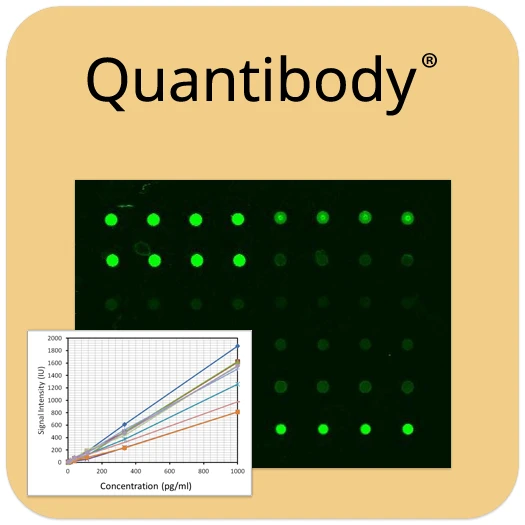Human Neuro Discovery Array Q1