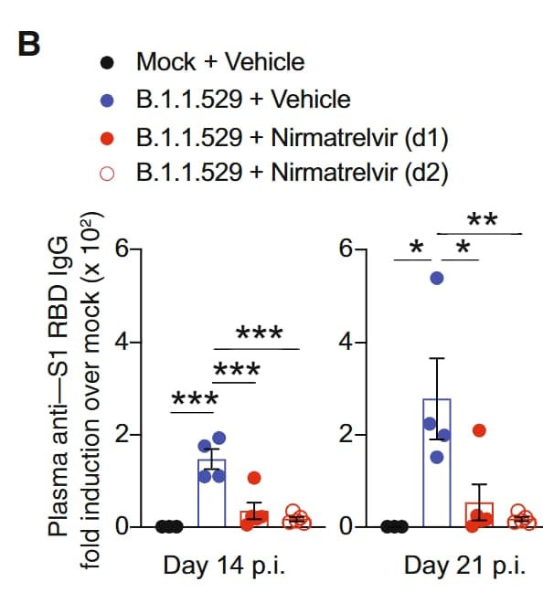 Figure adapted from Fumagalli et al., EMBO Molecular Medicine, 2023.