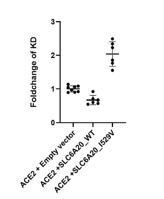 Figure adapted from Nydegger et al., Viruses, 2023.