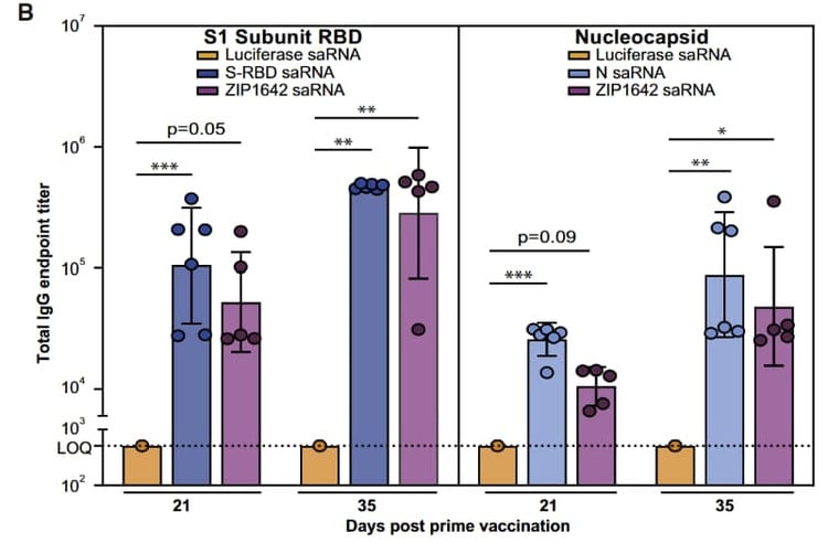 Figure adapted from McCafferty et al., Molecular Therapy, 2022.