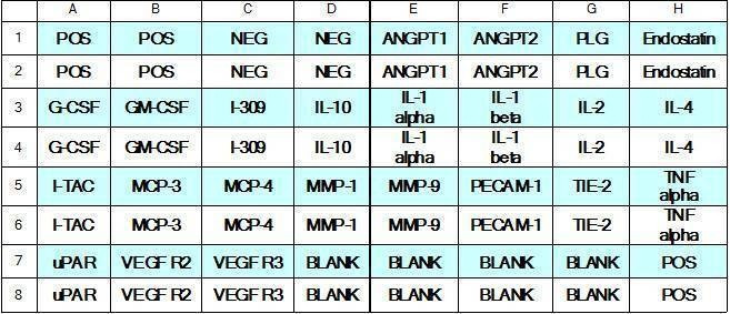 Human Angiogenesis Array C2