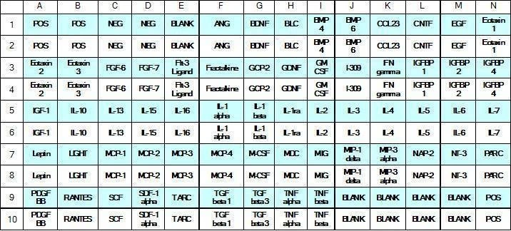 Human Cytokine Array C6