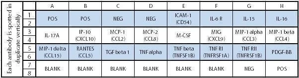 Human Inflammation Array C2
