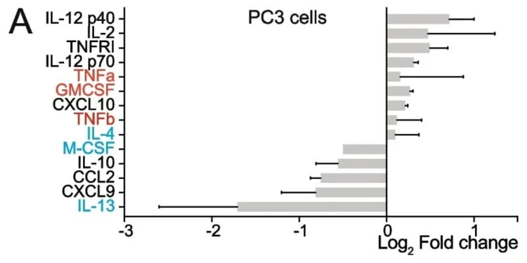 Figure adapted from García-Vílchez et al., Molecular Cancer, 2023.