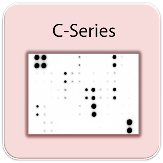 Human MMP Array C1