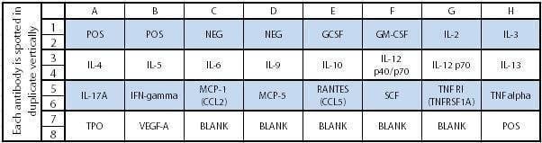 Mouse Cytokine Array C1