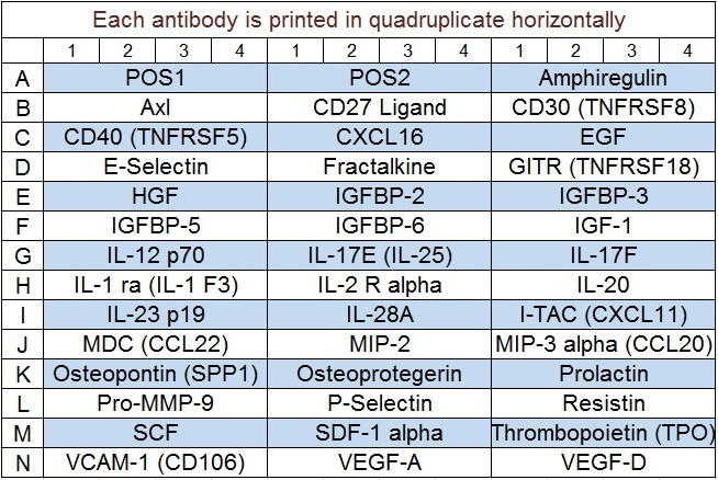 Mouse Cytokine Array Q4
