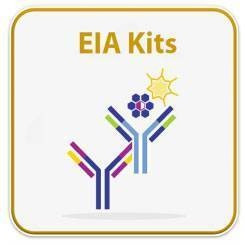 GLP-1 ELISA Kit
